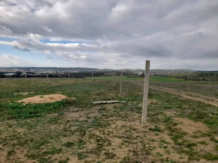 Mornaguia Mornaguia Terrain Terrain nu Terrain magnifique