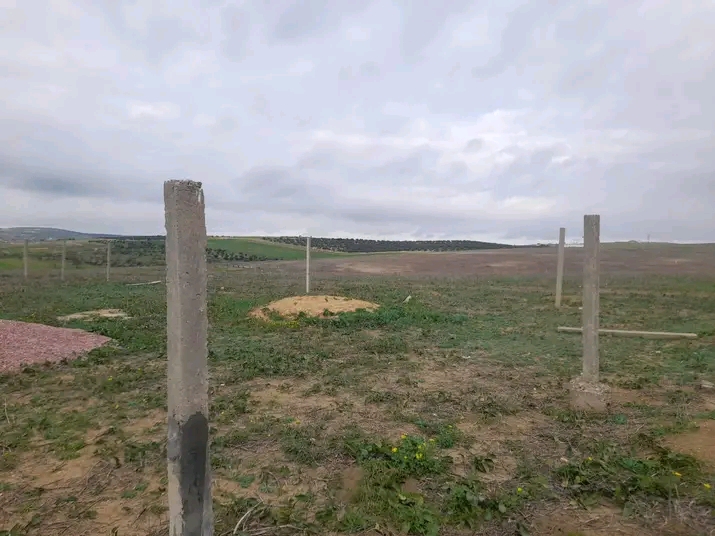 Mornaguia Mornaguia Terrain Terrain nu Terrain magnifique