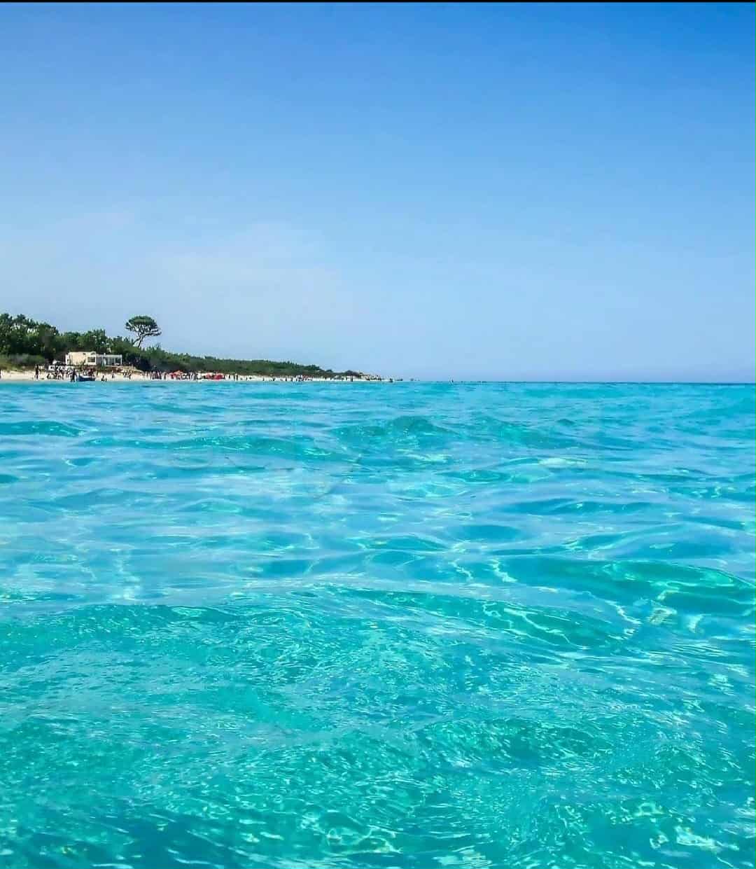 Terrain Terrain agricole