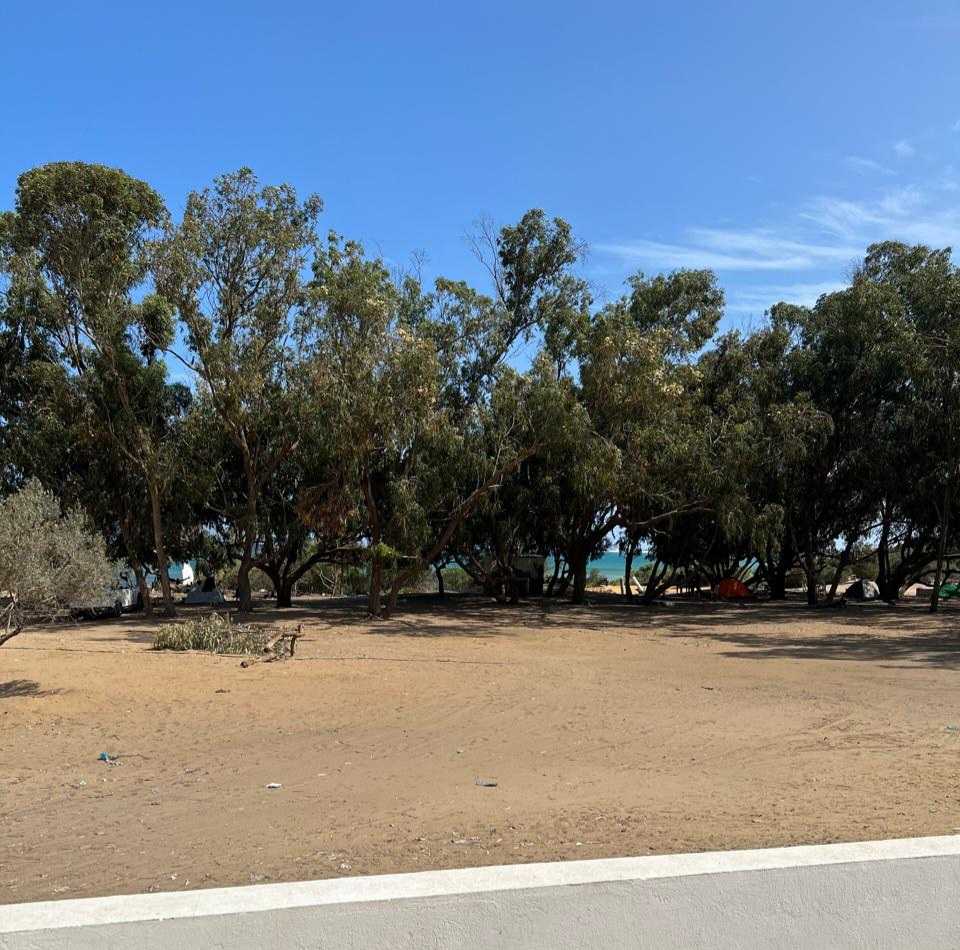 Terrain Terrain agricole