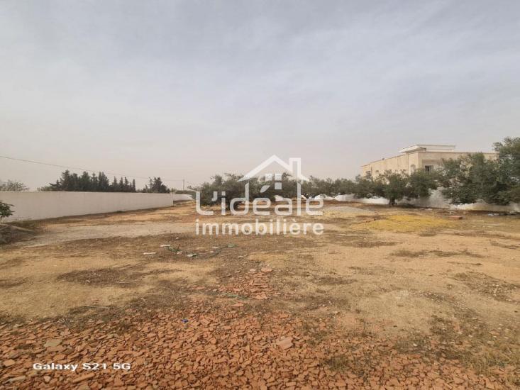 Hammamet Hammamet Terrain Terrain nu Terrain de 1000 m  besbassia hammamet