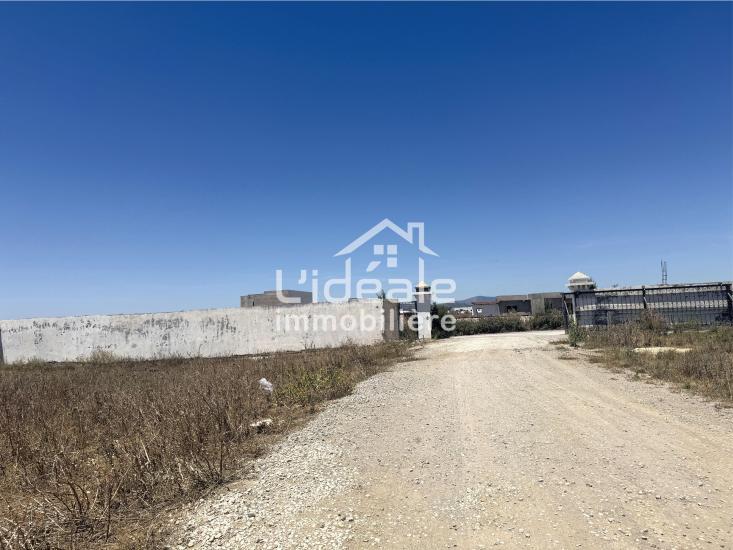 Hammamet Hammamet Terrain Terrain nu Terrain de 250 m  dhouikhla hammamet