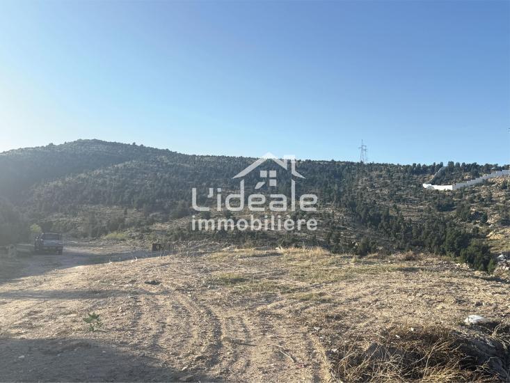 Hammamet Hammamet Terrain Terrain nu Terrain d exception  hammamet nord  kharrouba