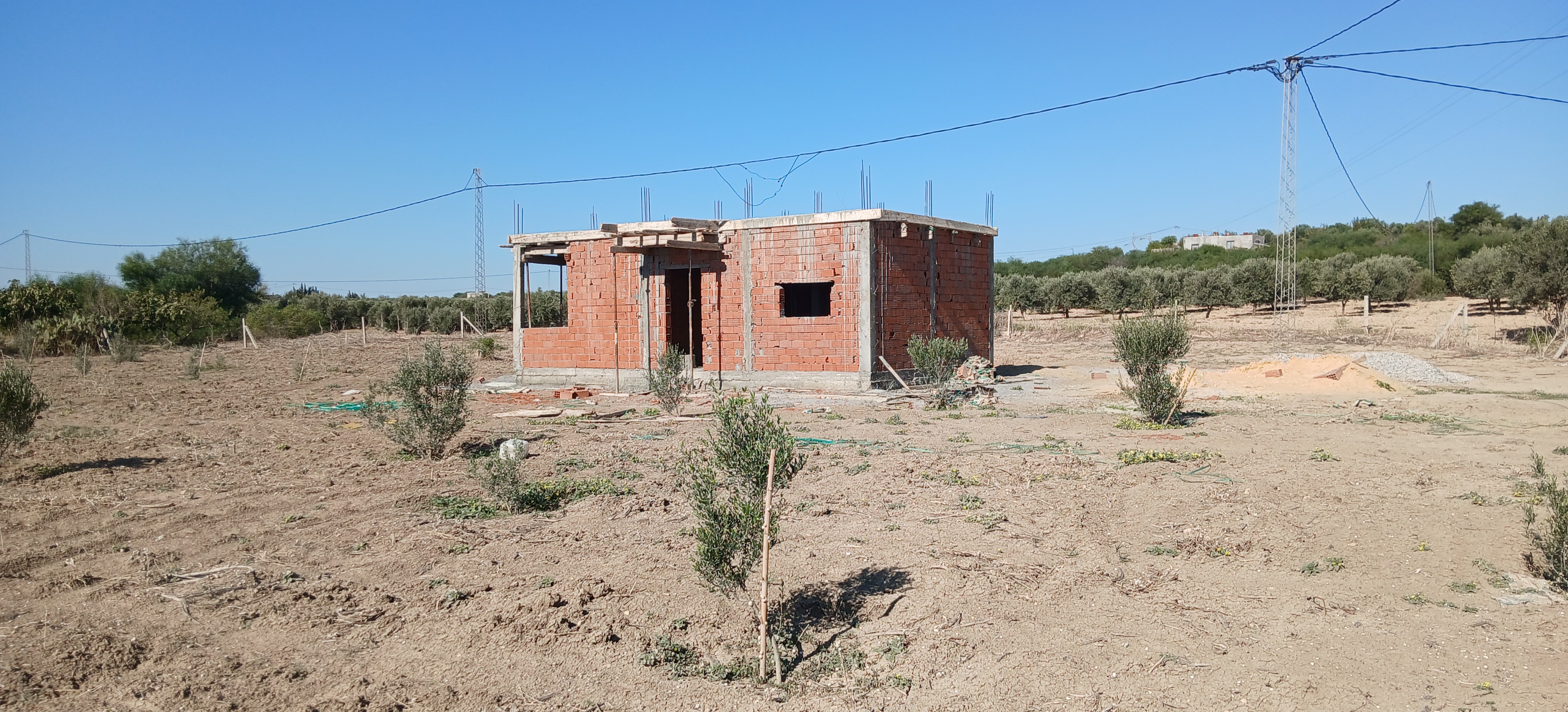 Terrain Terrain agricole