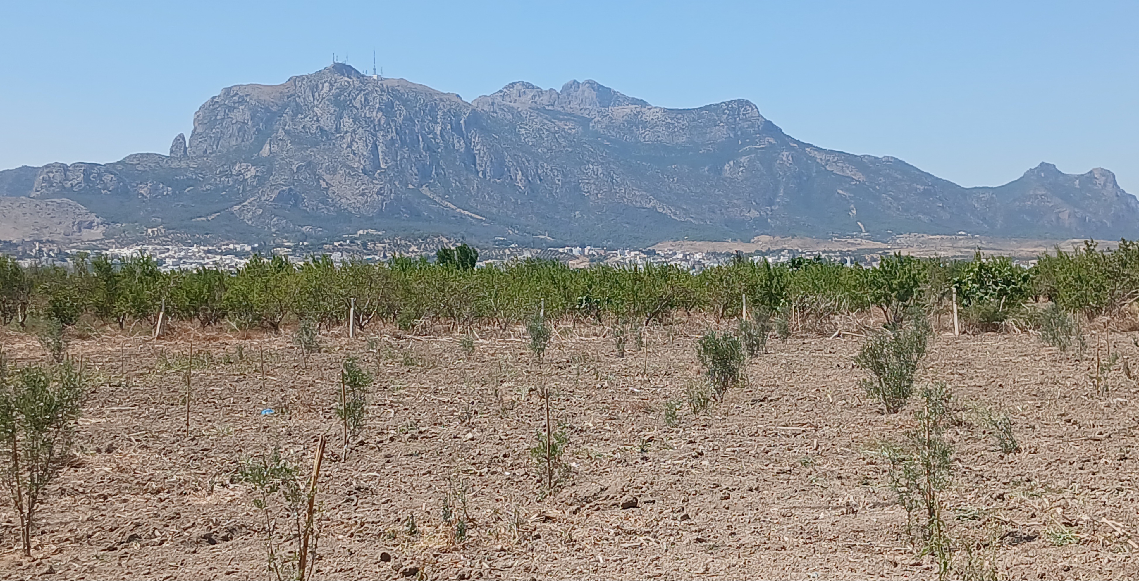 Zaghouan Zaghouan Terrain Terrain agricole Terrain agricole 5000 m avec une petite maison