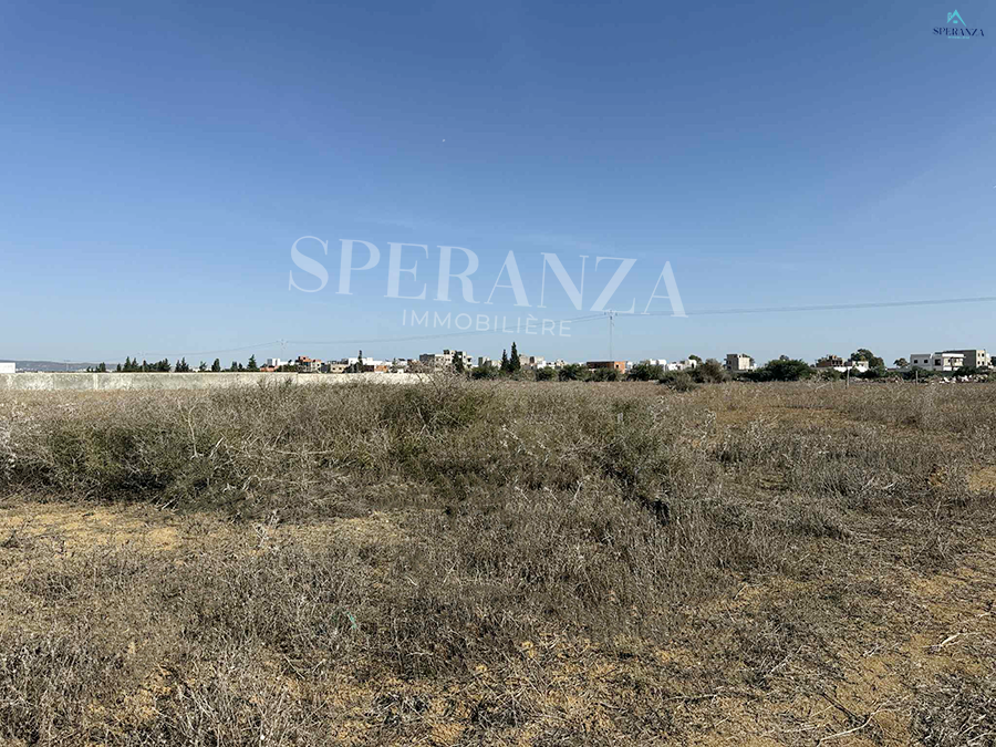 Hammamet Hammamet Vente Surfaces Terrain alta