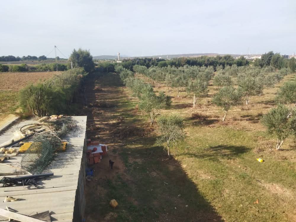 Terrain Terrain agricole