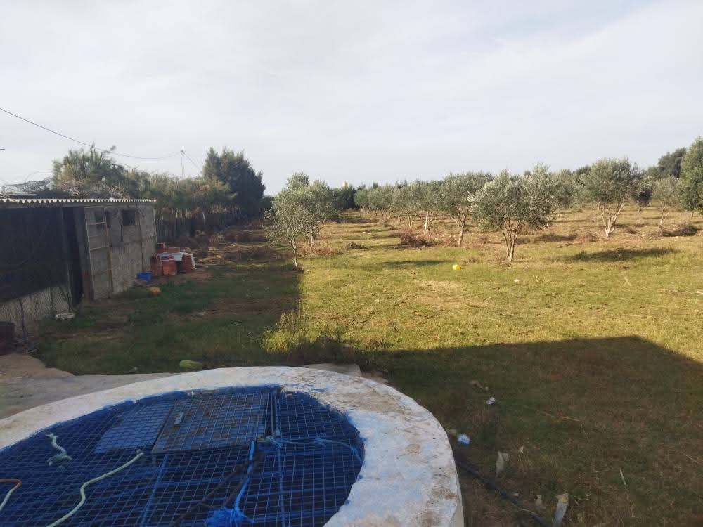 El Haouaria El Haouaria Terrain Terrain agricole Ferme bien quipes