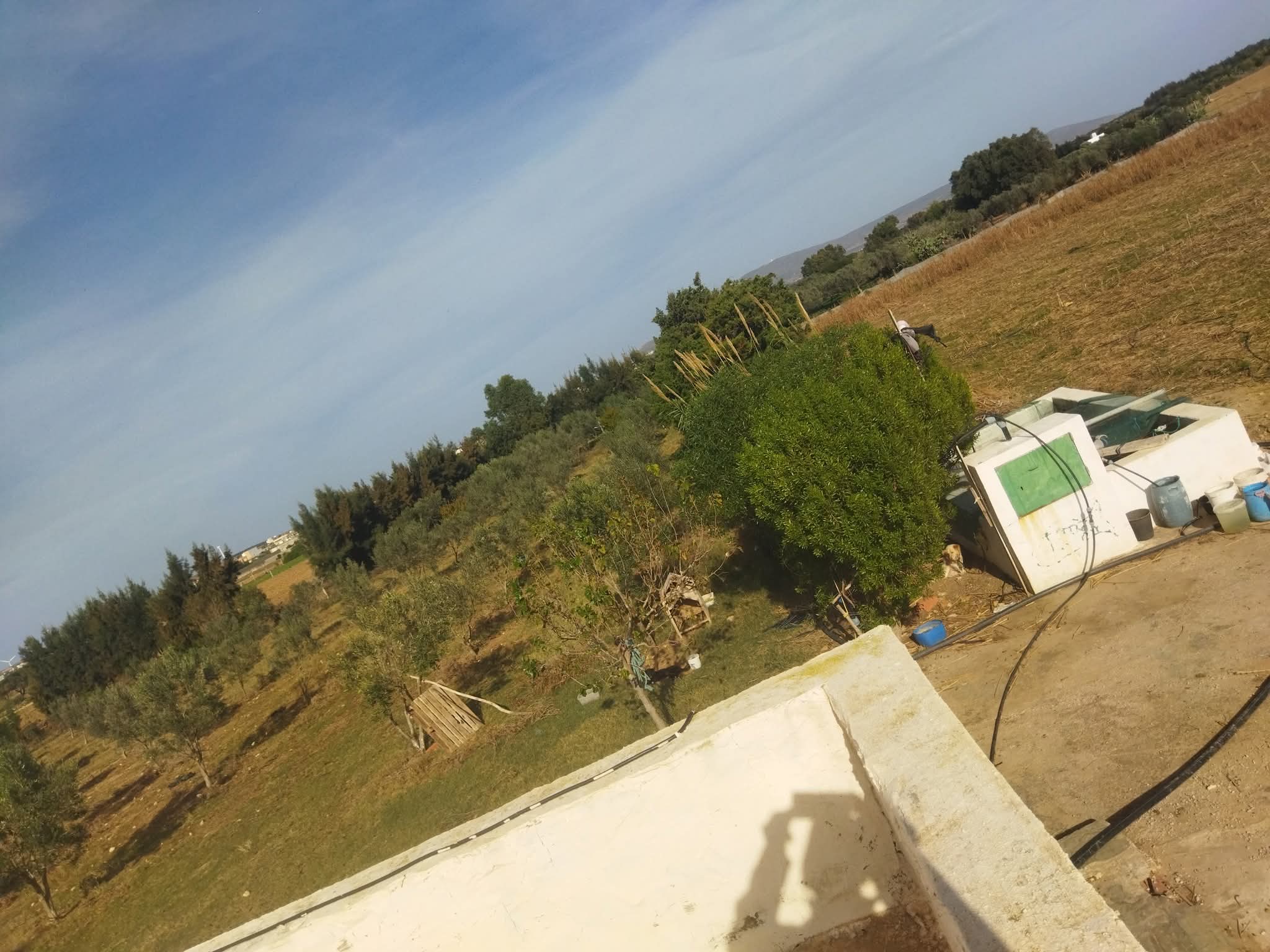 El Haouaria El Haouaria Terrain Terrain agricole Ferme bien quipes