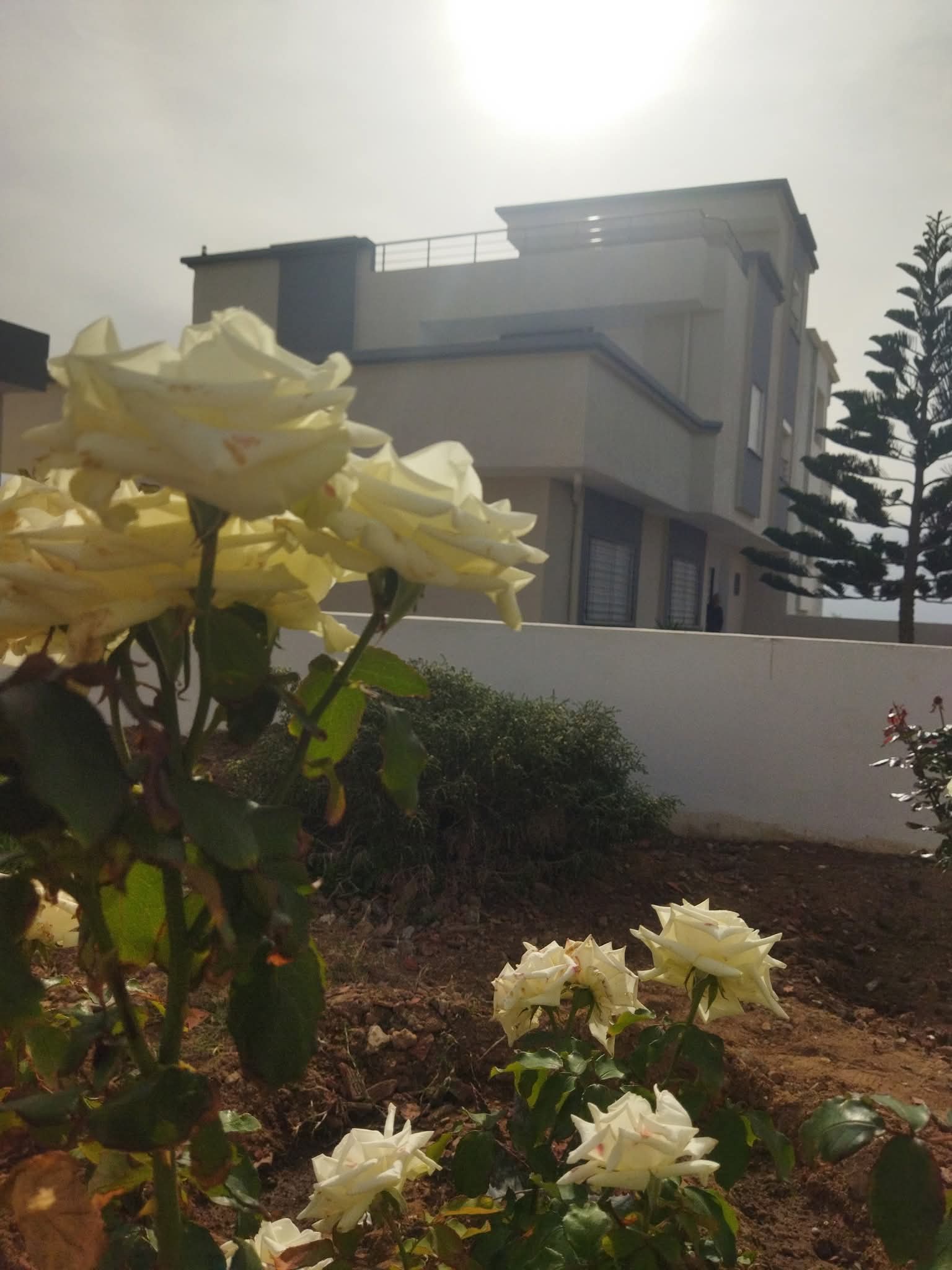 El Haouaria&nbsp;El Haouaria&nbsp;Vente&nbsp;Maisons&nbsp;Villa luxueuse s4 et de vue panoramique