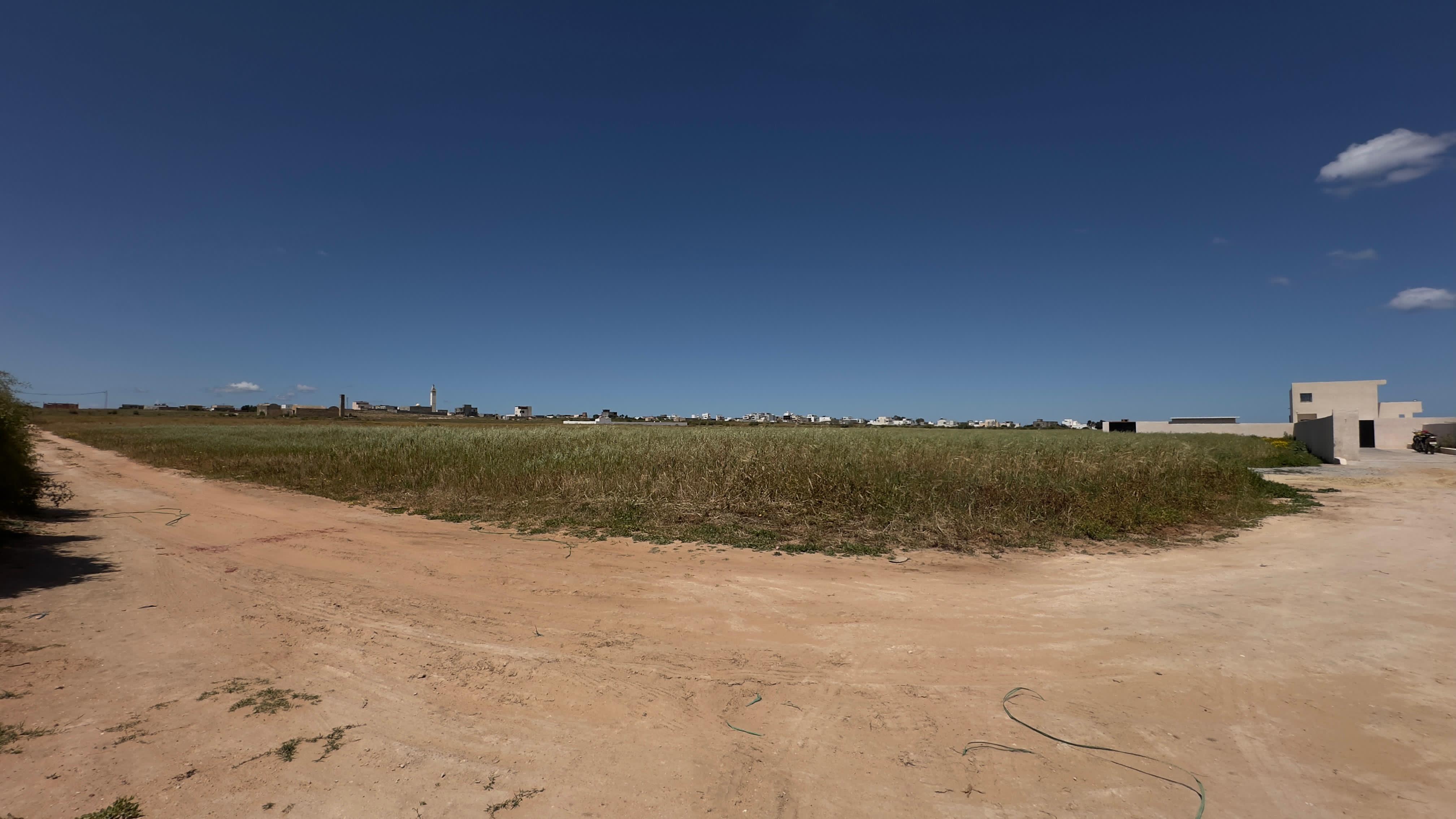 Menzel Temime Chatt Ezzouhour Terrain Terrain agricole Terrain  chatt ezzouhour