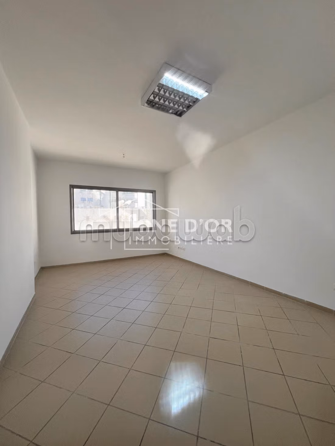 Bab Bhar Montplaisir Bureaux & Commerces Bureau Al bureau h2 a montplaisir