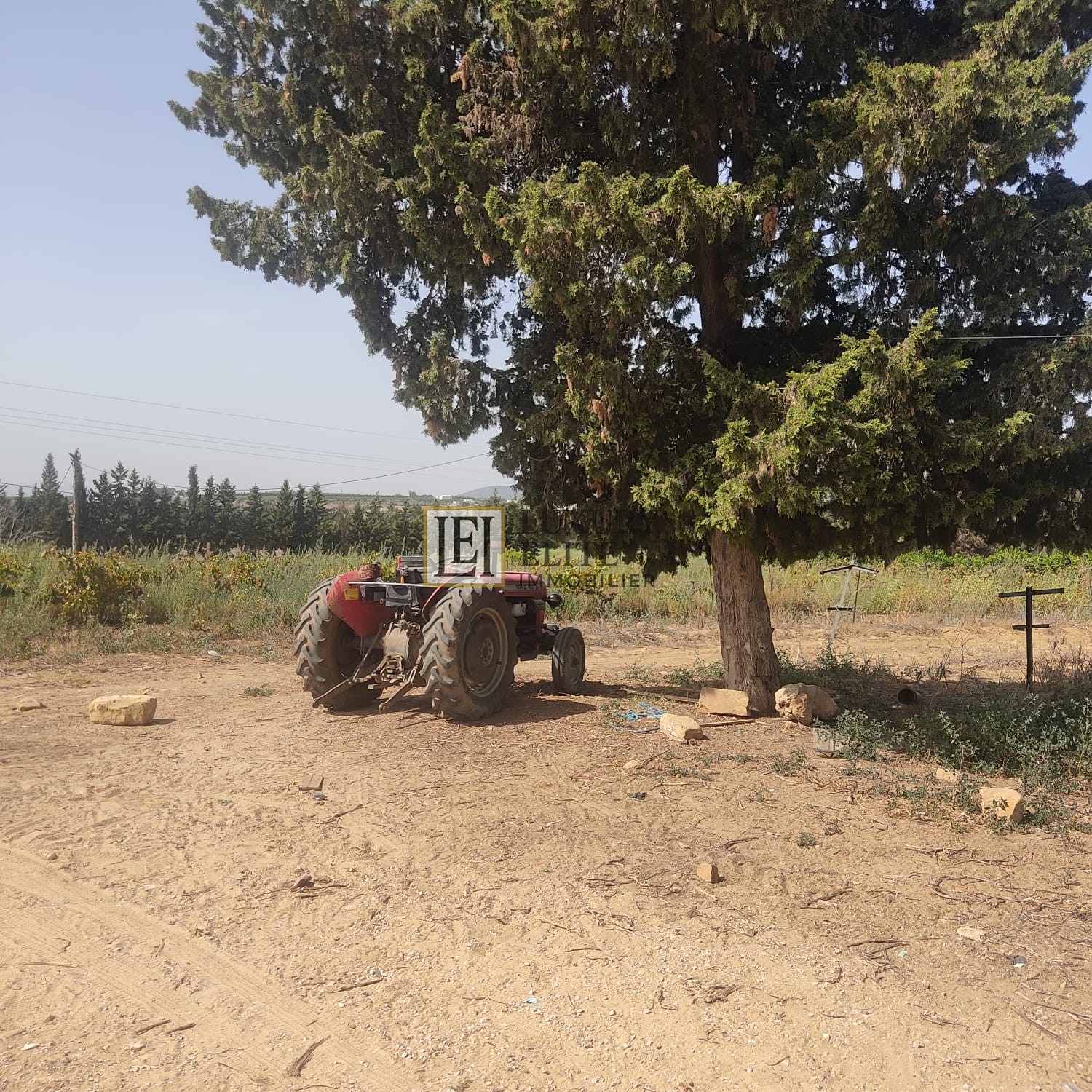 Takelsa&nbsp;Sidi Issa&nbsp;Terrain&nbsp;Terrain agricole&nbsp;Une belle ferme � takelsa