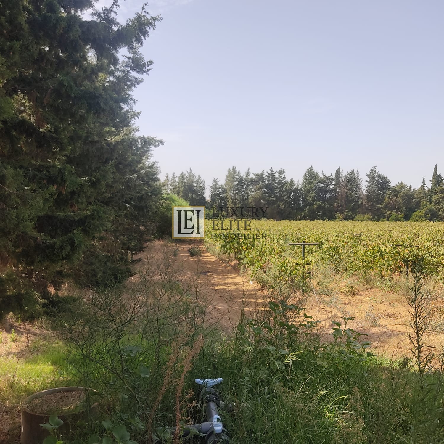 Terrain&nbsp;Terrain agricole