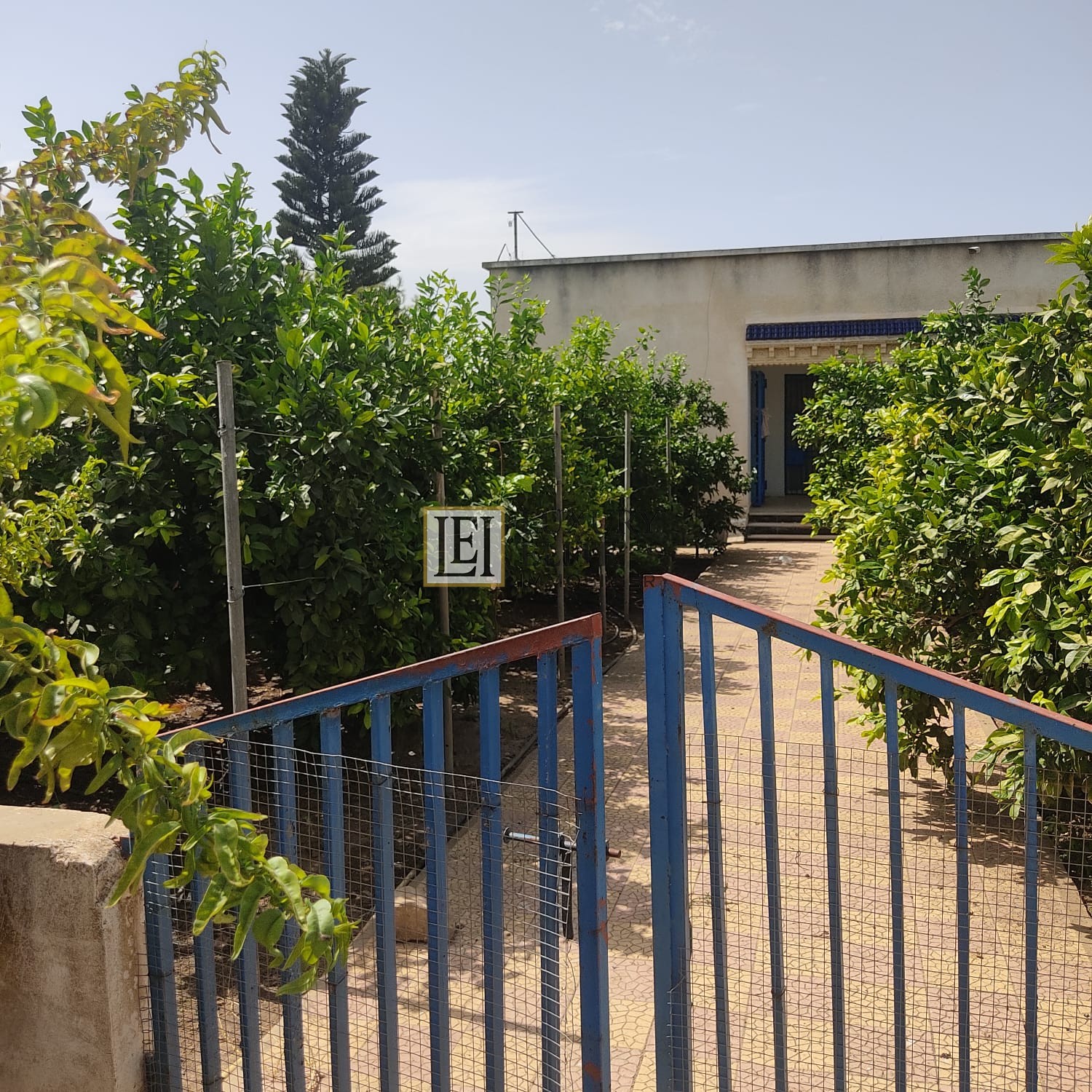 Takelsa Sidi Issa Terrain Terrain agricole Projet agricole 15 hecrtares takelsa