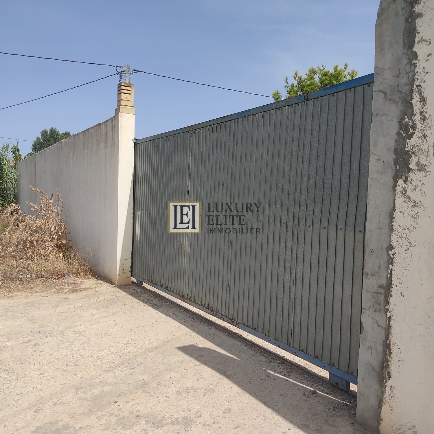 Terrain Terrain agricole