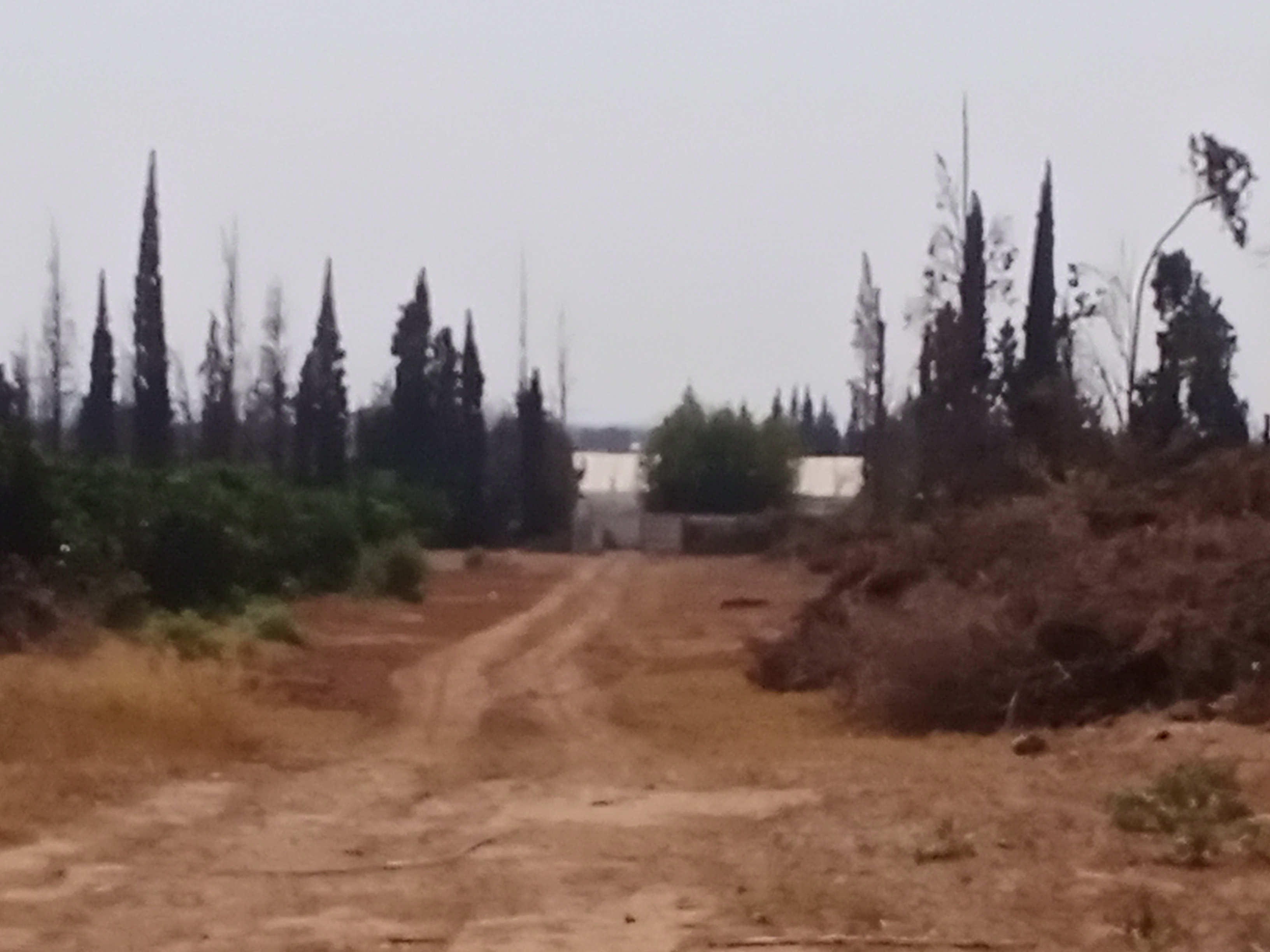 Mornag&nbsp;Chala&nbsp;Terrain&nbsp;Terrain nu&nbsp;Terrain agr�able