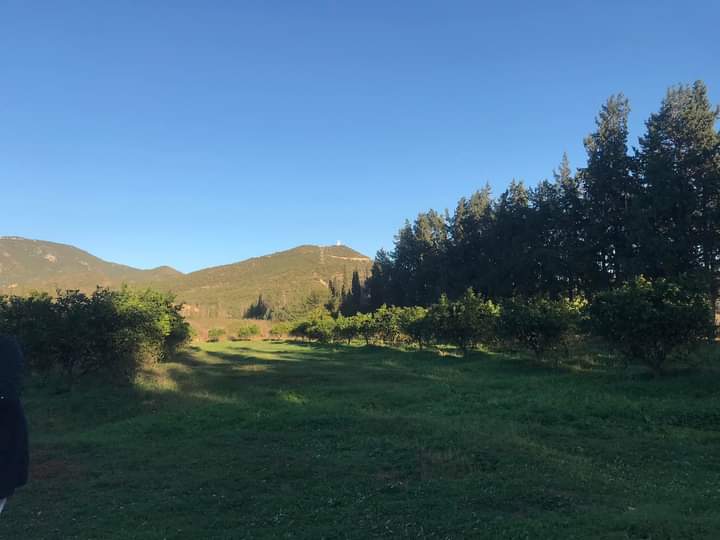 Mornag&nbsp;Chala&nbsp;Terrain&nbsp;Terrain nu&nbsp;Terrain agr�able