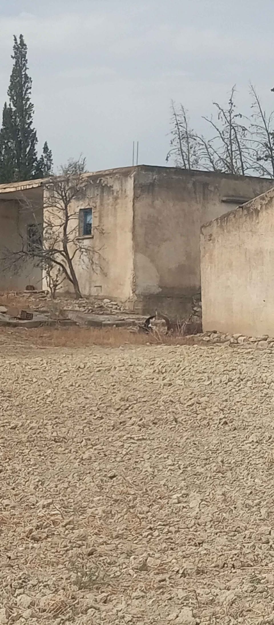 Mejez El Bab&nbsp;Sidi Mediene&nbsp;Terrain&nbsp;Terrain agricole&nbsp;Terrain au bord de route