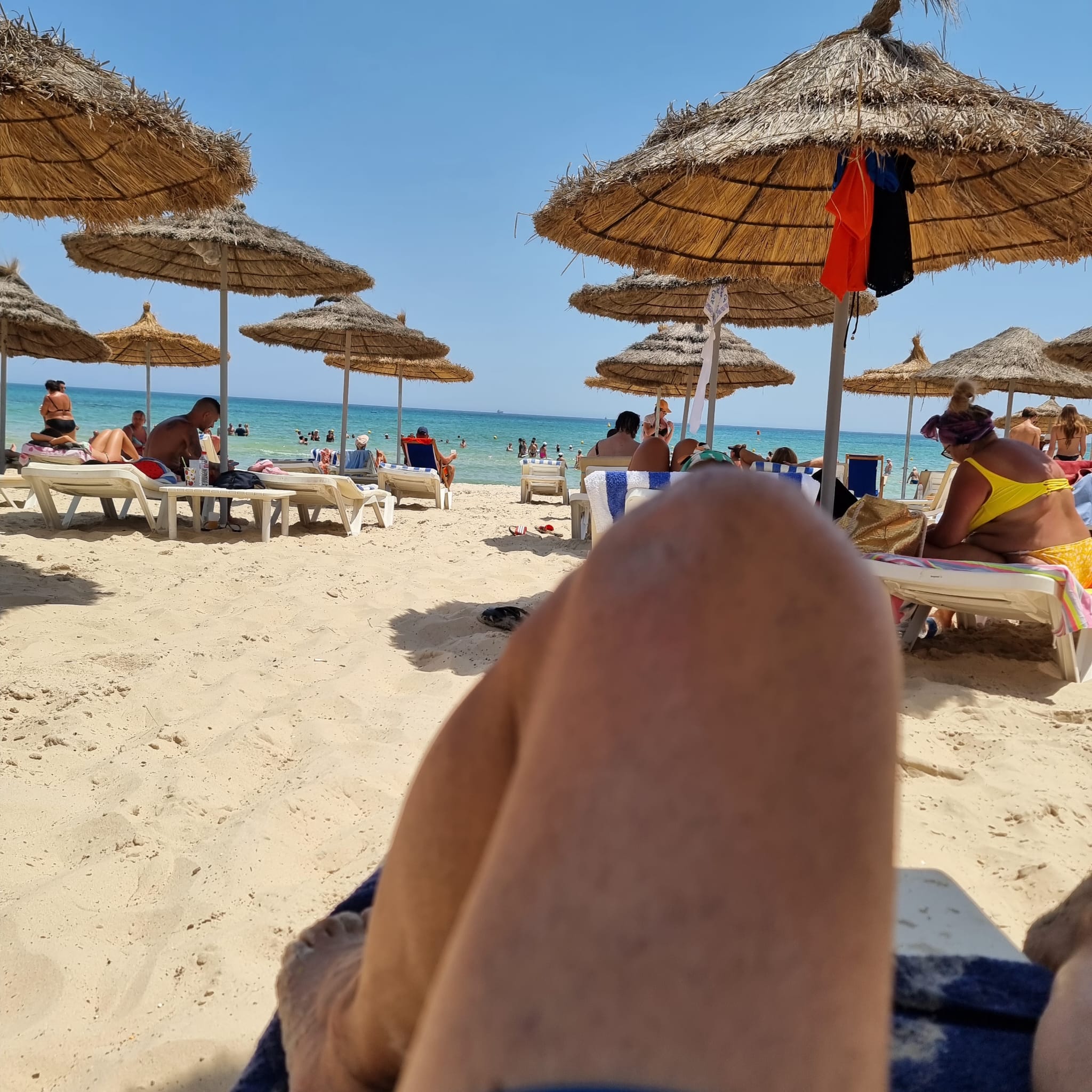 Location Appart. 2 pices