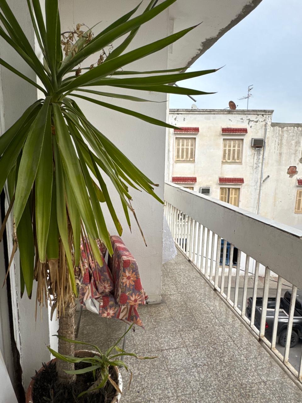 Bab Souika Bab El Assel Location Appart. 3 pices Une maison au coeur de tunis