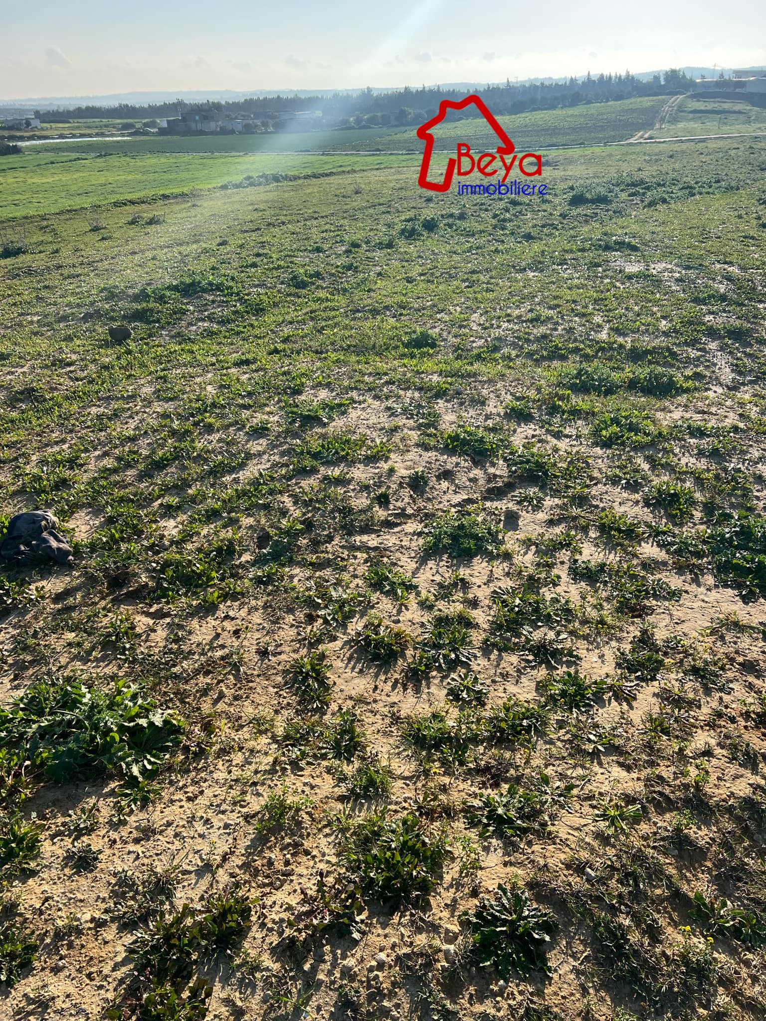 Terrain Terrain agricole