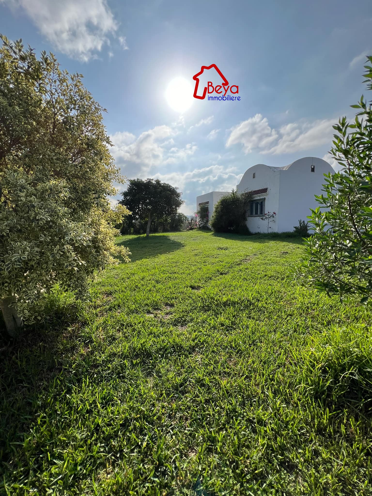 Terrain Terrain agricole