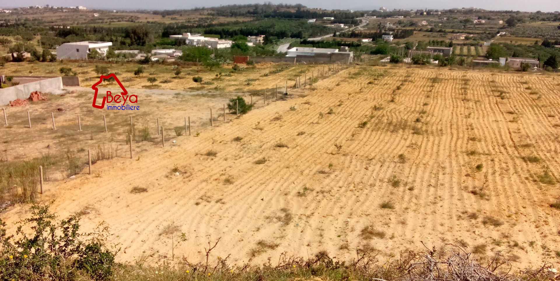 Terrain Terrain agricole