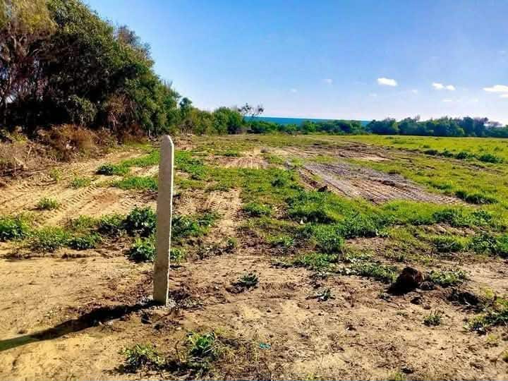 Kelibia&nbsp;Kerkouane&nbsp;Terrain&nbsp;Terrain nu&nbsp;Pies dans l'eau kerkouane
