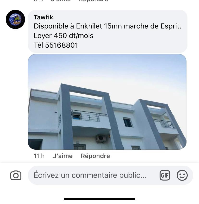 Raoued Cite Ennkhilet Location Appart. 3 pices Appt 3 pices meubles