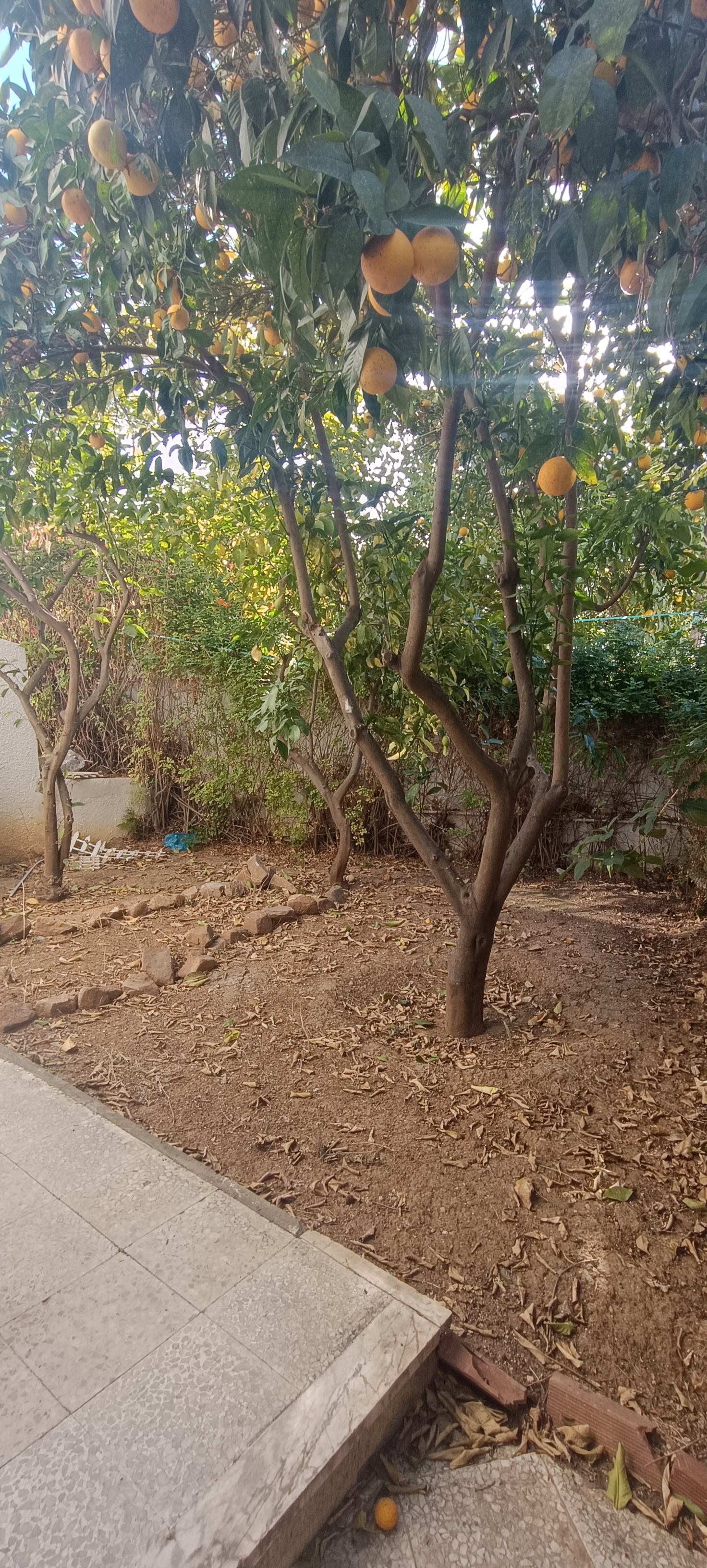 El Menzah&nbsp;El Menzah 9&nbsp;Vente&nbsp;Maisons&nbsp;Villa a menzah 9 a