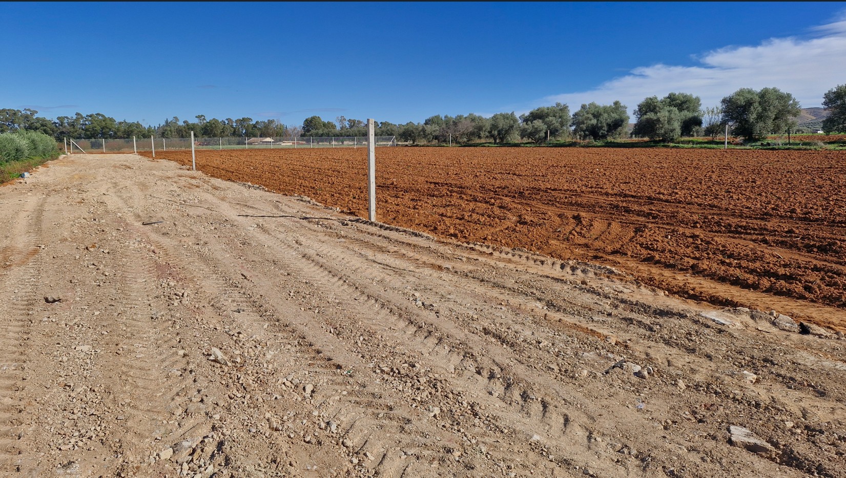 Sidi Thabet&nbsp;Sidi Thabet&nbsp;Terrain&nbsp;Terrain nu&nbsp;Terrain de 1000m situ�s � sidi thabet