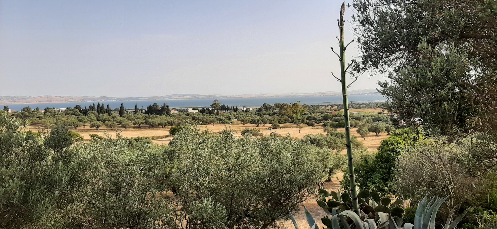 Terrain&nbsp;Terrain nu