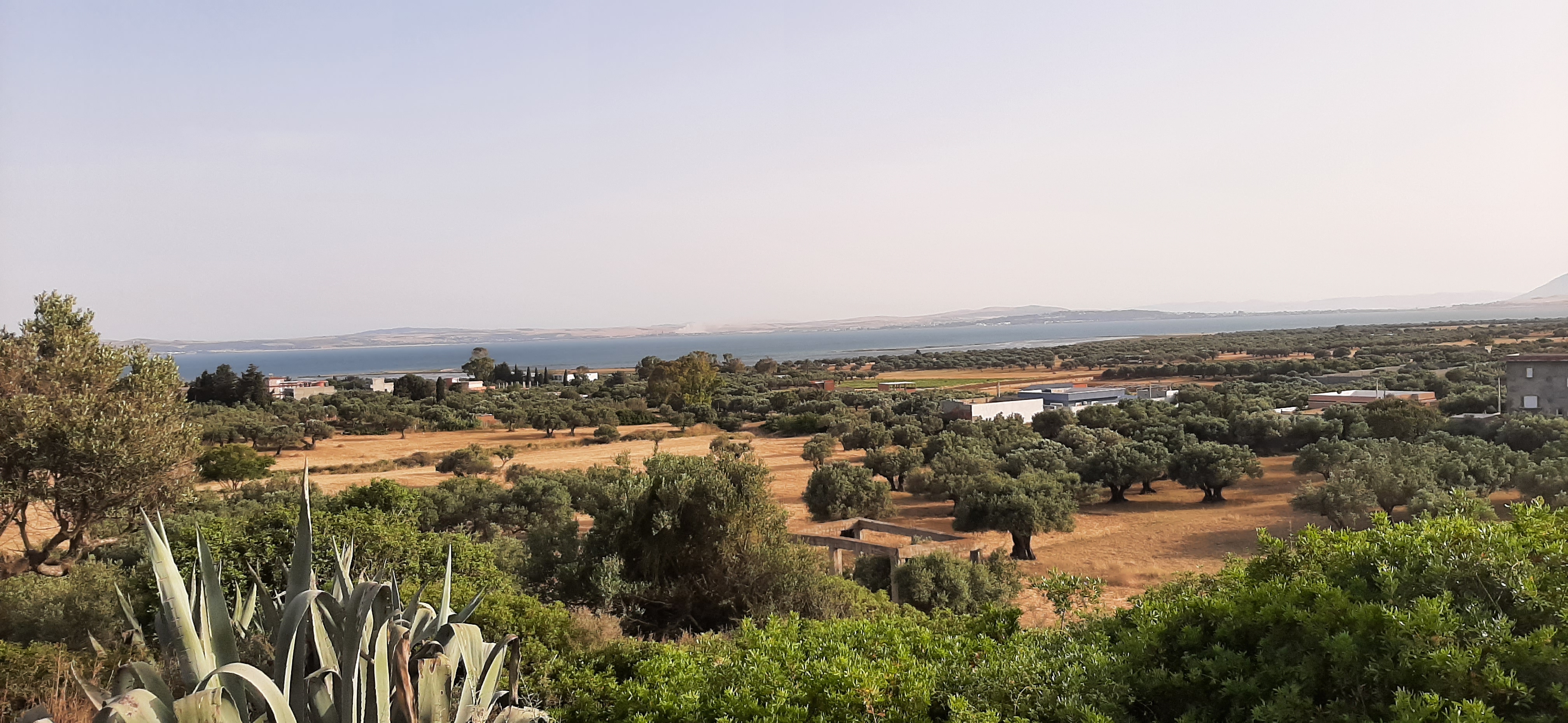 Menzel Jemil&nbsp;Menzel Abderrahman&nbsp;Terrain&nbsp;Terrain nu&nbsp;Terrain a chaara