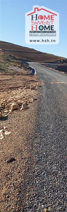 Beja Nord Beja Terrain Terrain agricole Terrain agricole agros  bja