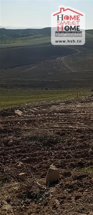 Terrain Terrain agricole