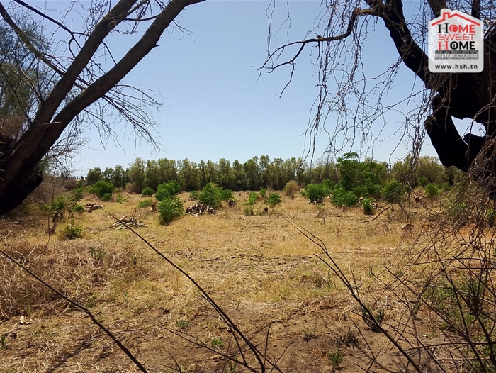 Terrain&nbsp;Terrain agricole