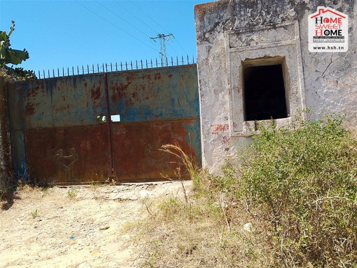 Menzel Bouzelfa&nbsp;Menzel Bouzelfa&nbsp;Terrain&nbsp;Terrain agricole&nbsp;Terrain agricole sarand � menzel bouzalfa