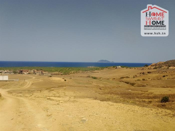 Nabeul Nabeul Terrain Terrain nu Terrain villa olga  nabeul