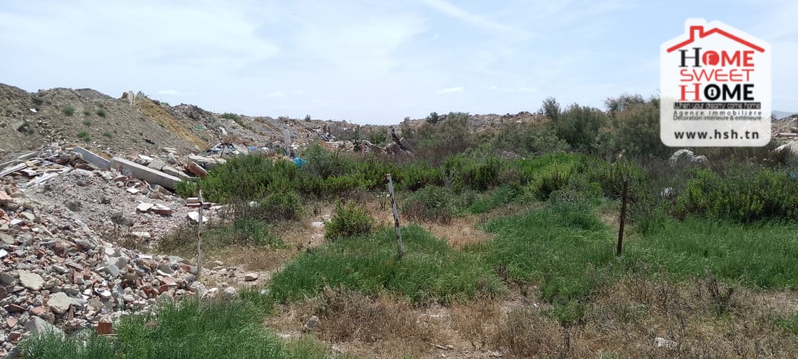 Terrain&nbsp;Terrain nu