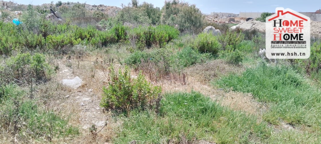 La Marsa&nbsp;Marsa Safsaf&nbsp;Terrain&nbsp;Terrain nu&nbsp;Terrain villa raseef � cit� el habib la marsa