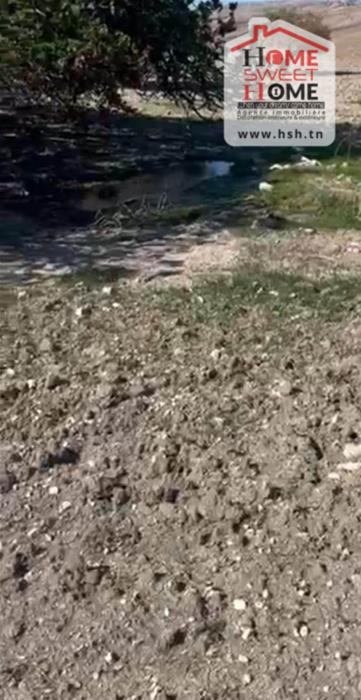 Terrain&nbsp;Terrain agricole