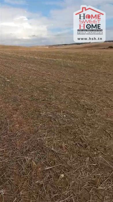 Mejez El Bab&nbsp;Mejez El Bab&nbsp;Terrain&nbsp;Terrain agricole&nbsp;Terrain agricole valora � mjez el beb