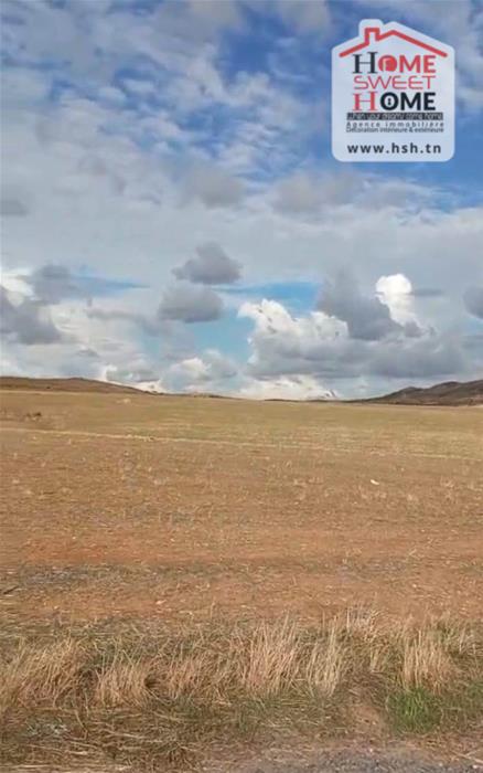 Mejez El Bab&nbsp;Mejez El Bab&nbsp;Terrain&nbsp;Terrain agricole&nbsp;Terrain agricole valora � mjez el beb