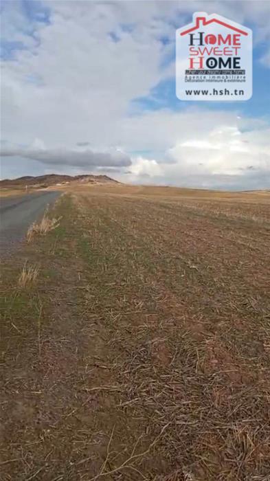 Mejez El Bab&nbsp;Mejez El Bab&nbsp;Terrain&nbsp;Terrain agricole&nbsp;Terrain agricole valora � mjez el beb