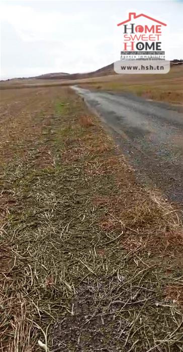 Mejez El Bab&nbsp;Mejez El Bab&nbsp;Terrain&nbsp;Terrain agricole&nbsp;Terrain agricole valora � mjez el beb