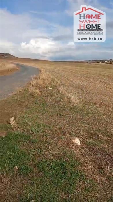 Terrain&nbsp;Terrain agricole