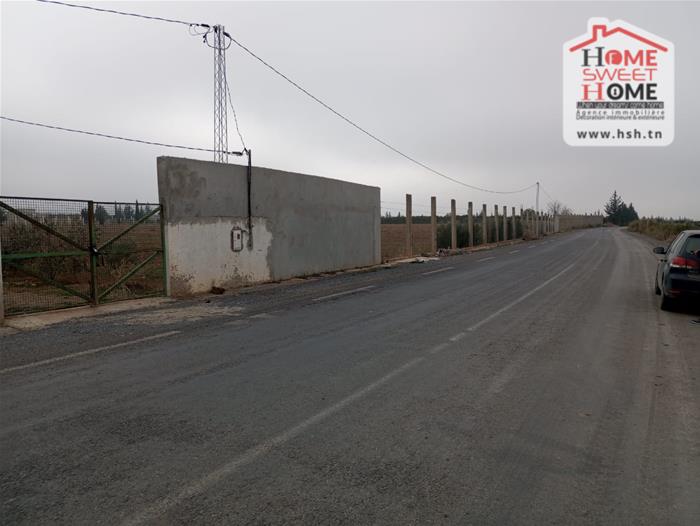 Terrain Terrain agricole