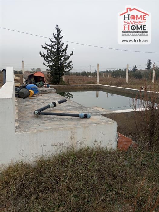 Mejez El Bab Mejez El Bab Terrain Terrain agricole Terrain agricole agrumia  mjez el beb