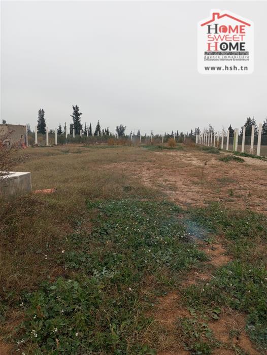 Mejez El Bab Mejez El Bab Terrain Terrain agricole Terrain agricole agrumia  mjez el beb